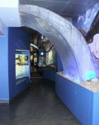 Thumbs/tn_001 Wasserader Haus der Natur 11022004.jpg